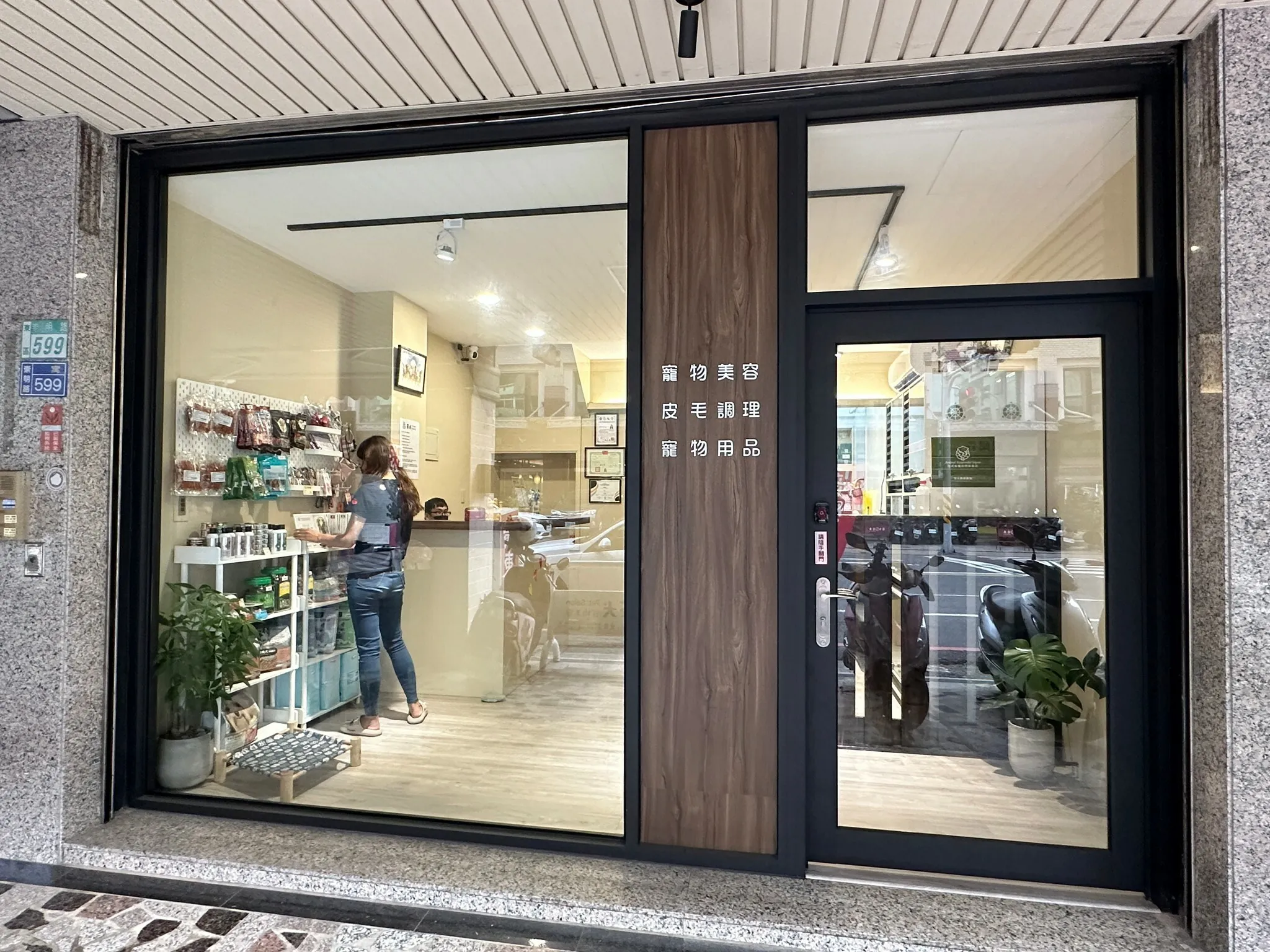 茶犬寵物美容