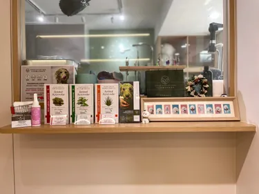 白日夢寵物美容工作室