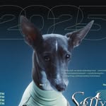 sooty.and
