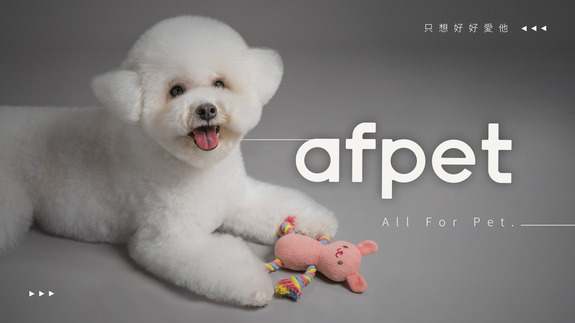 afpet 關於我們里程碑