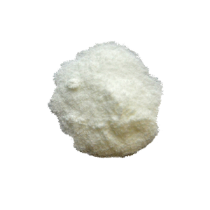 日本專科 寵物機能益生菌 [犬用]